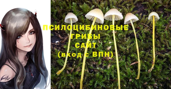 спиды Баксан
