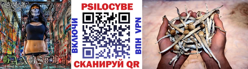 Галлюциногенные грибы Magic Shrooms  блэк спрут как зайти  маркетплейс наркотические препараты  Афипский 